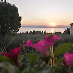 Apartament Bellini Viola