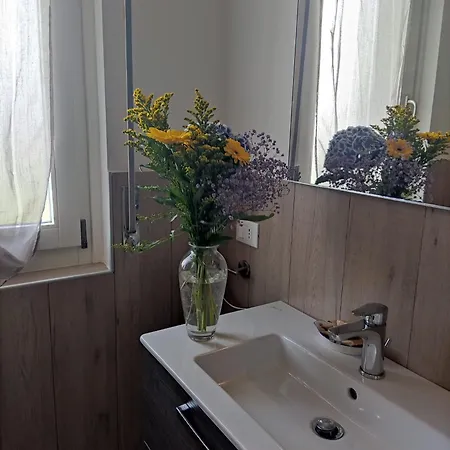 Bellini Viola Бардоліно