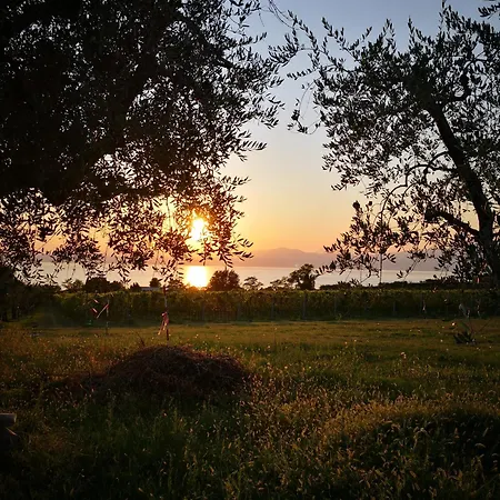 Bellini Viola Apartment *