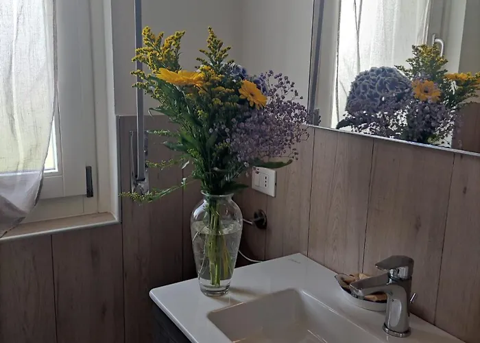 Bellini Viola Bardolino