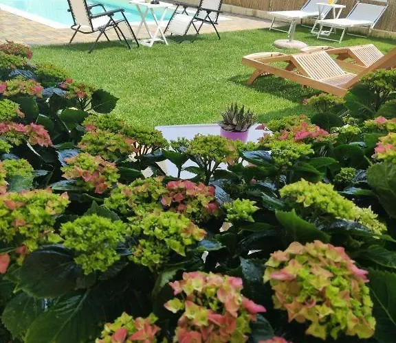 Bellini Viola Apartment *