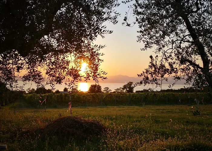 Bellini Viola Apartment *