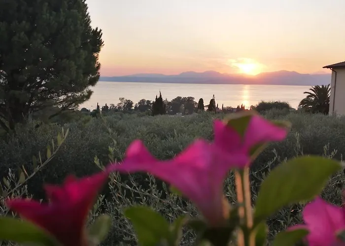 Apartment Bellini Viola